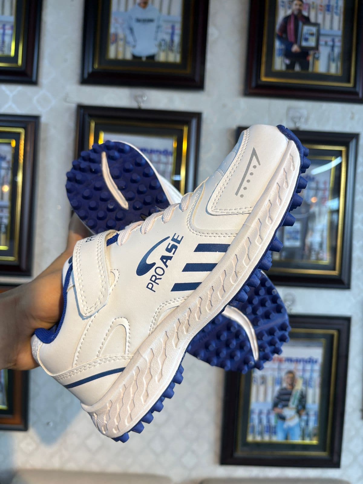 PROASE SHOE 