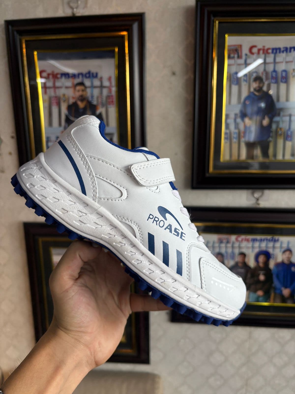 PROASE SHOE  view 2