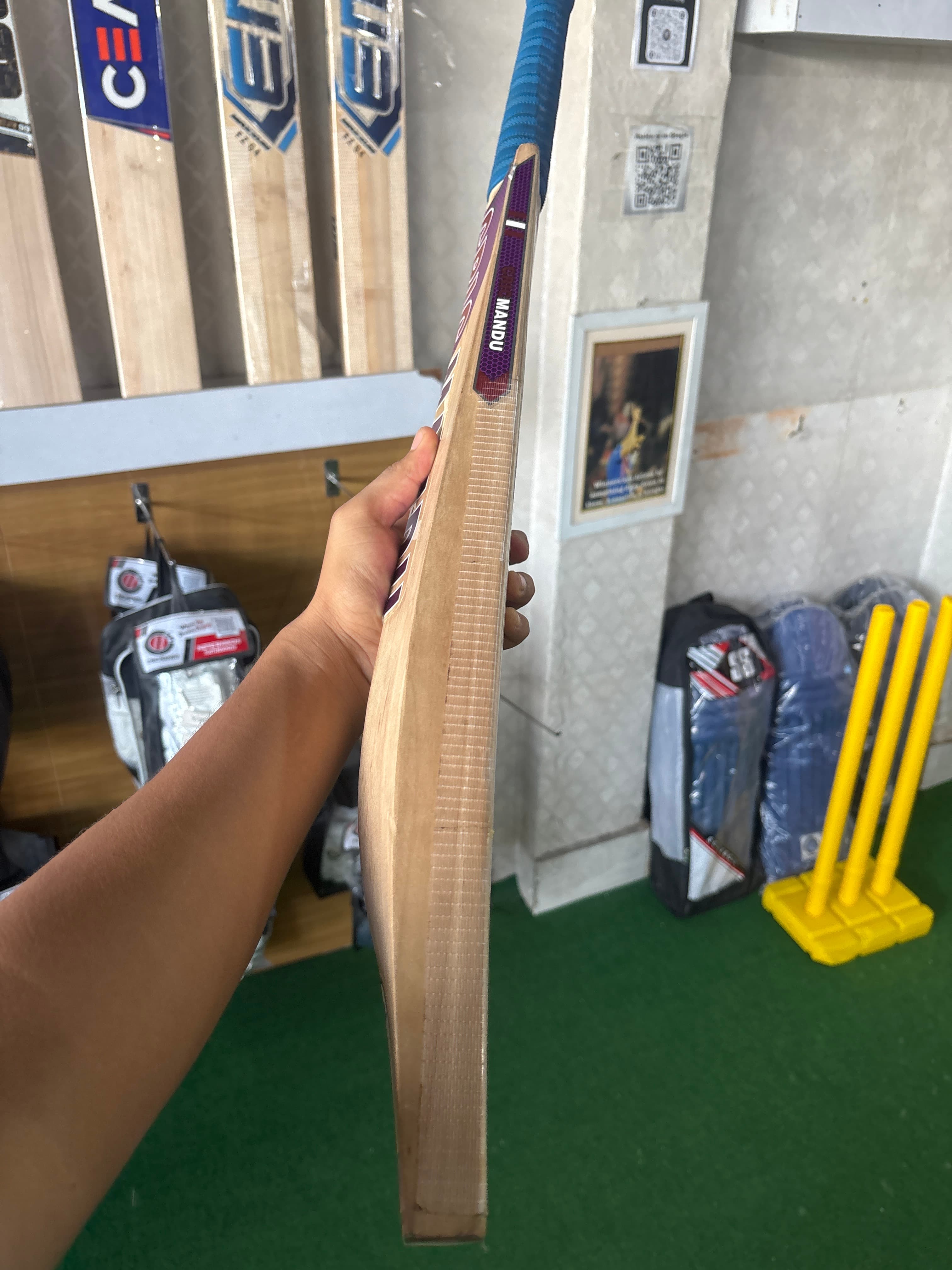 GRADE 2 BAT EW view 2